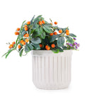 Nilo Handmade Ceramic Planter, Set of 4