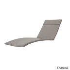Salem Outdoor Chaise Lounge Cushion, Set of 2