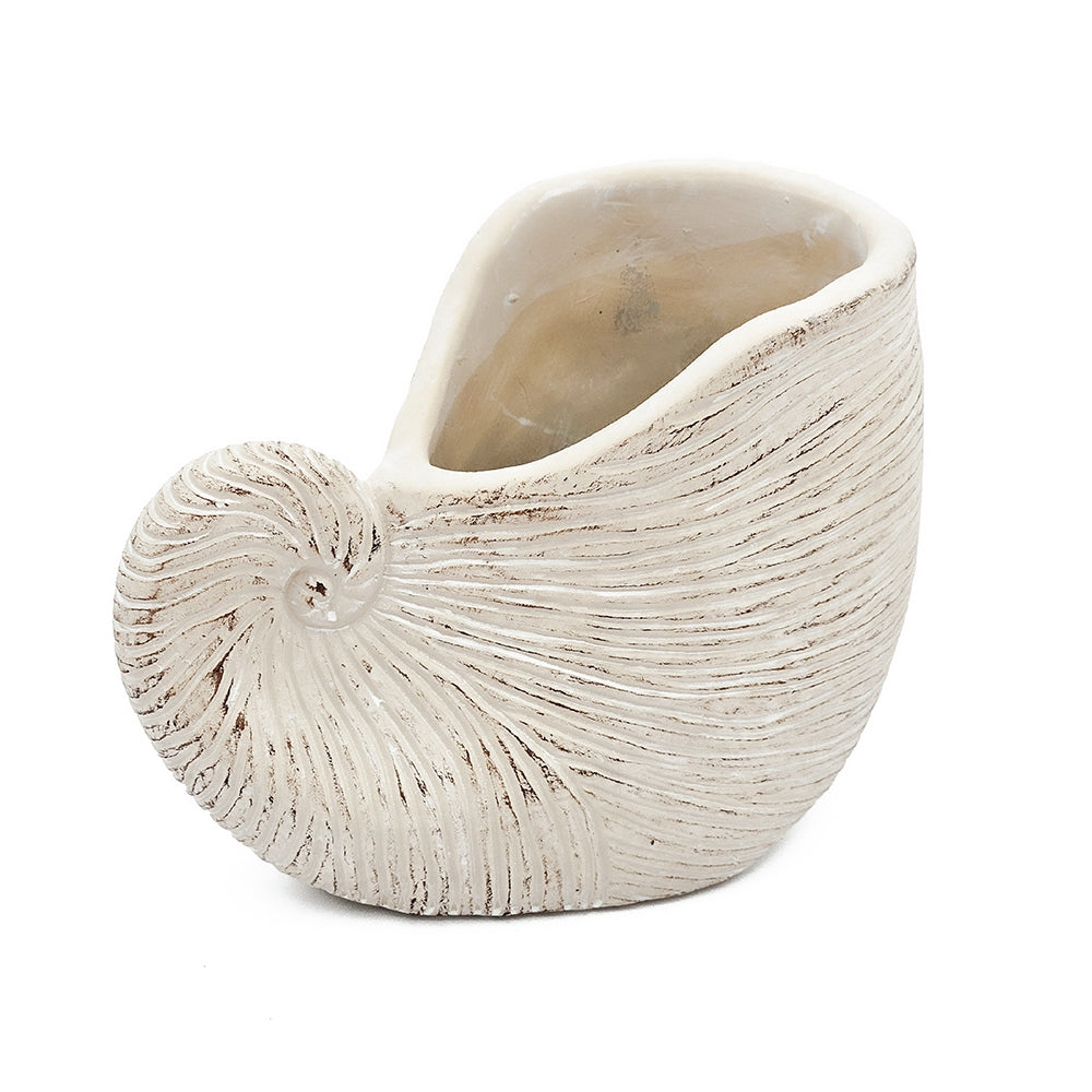 Nautilus Shell Planter with Textured Finish