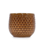 Bex Handmade Ceramic Planter, Set of 3