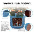Rian Handmade Ceramic Flower Pot, Set of 3