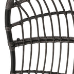 Richards Outdoor/Indoor Wicker Hanging Swing Chair