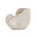 Nautilus Shell Planter with Textured Finish