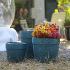 Aven Handmade Ceramic Planter, Set of 3