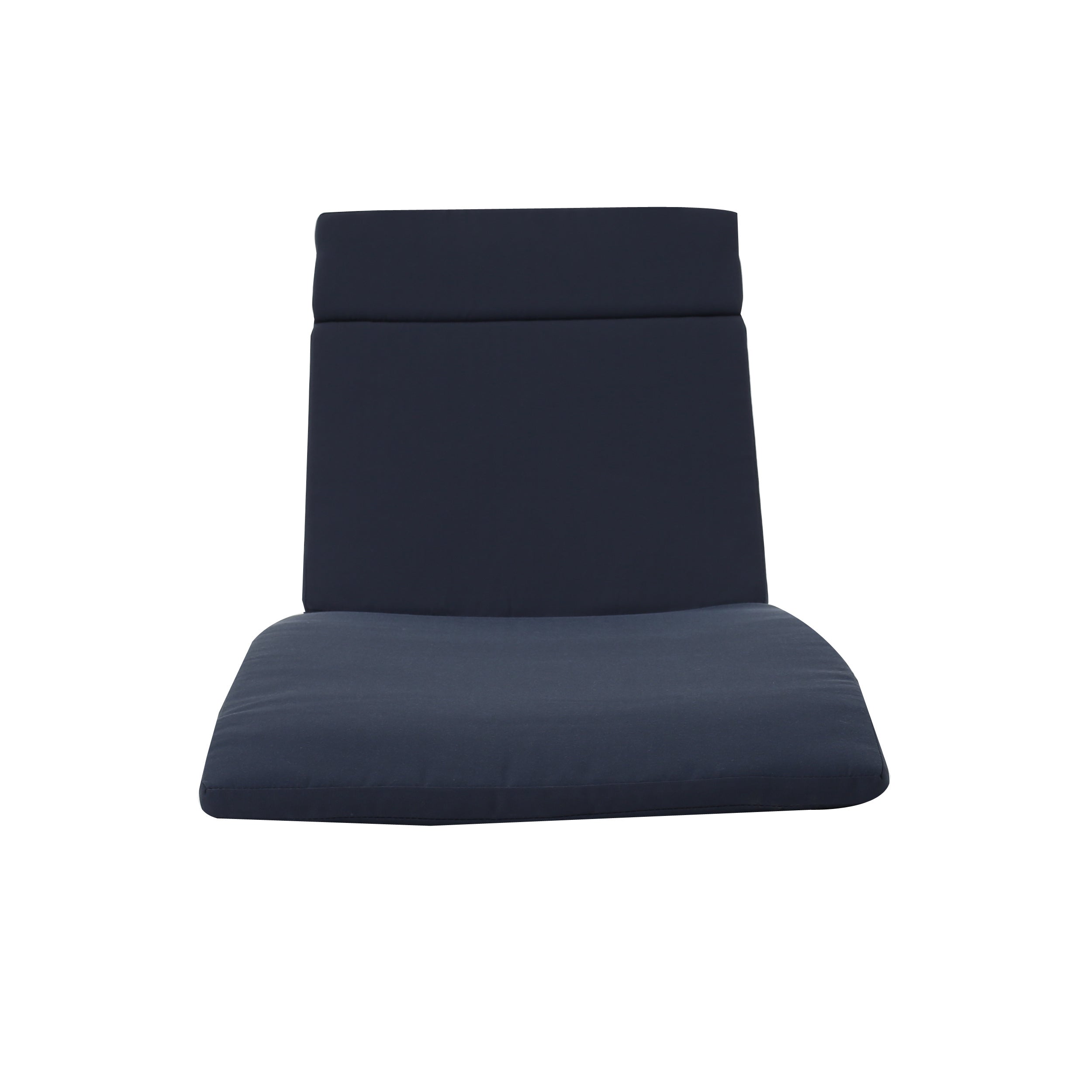 Salem Outdoor Chaise Lounge Cushion, Set of 2