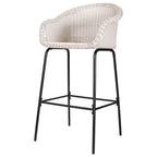 Ladd Outdoor Metal Wicker Barstool, Set of 2
