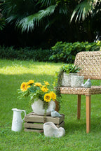 Nautilus Shell Planter with Textured Finish