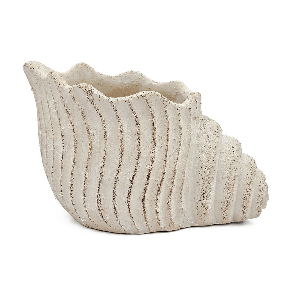 Conch Shell Planter with Textured Finish