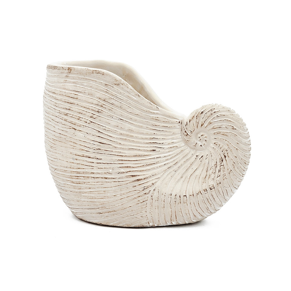 Nautilus Shell Planter with Textured Finish