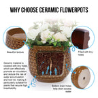 Bex Handmade Ceramic Planter, Set of 3