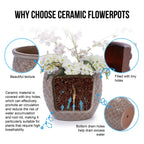 Sonora Handmade Ceramic Flower Pot, Set of 3