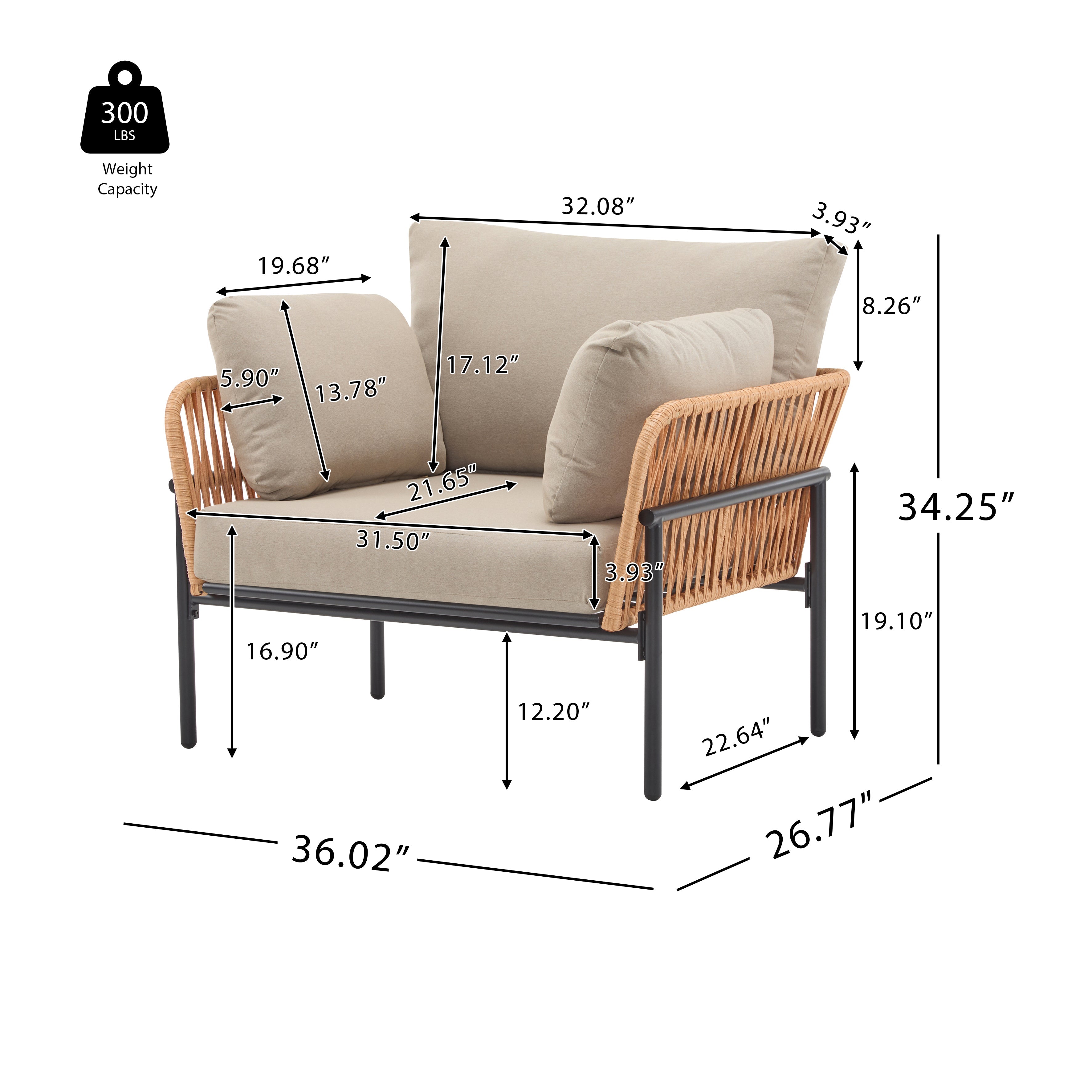Brisa Outdoor Modern Iron Lounge Chair with Rope Weave