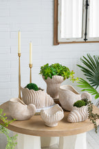 Conch Shell Planter with Textured Finish