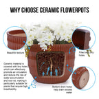 Ekon Handmade Ceramic Planter, Set of 4