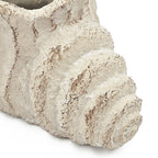Conch Shell Planter with Textured Finish