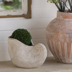 Nautilus Shell Planter with Textured Finish