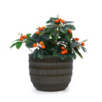 Ekon Handmade Ceramic Planter, Set of 4