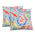 Paisley 18x18 Waterproof & Fade-Resistant Outdoor Throw Pillows, Set of 2