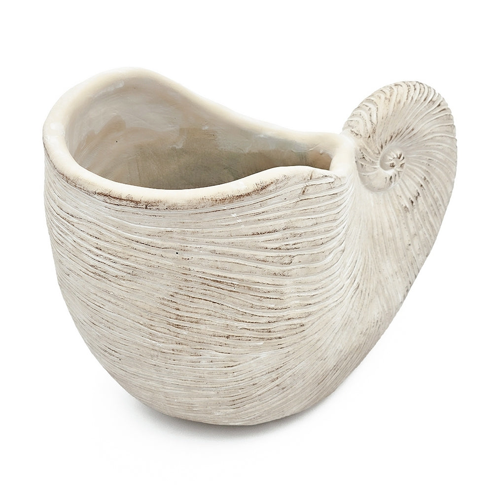 Nautilus Shell Planter with Textured Finish