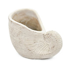 Nautilus Shell Planter with Textured Finish