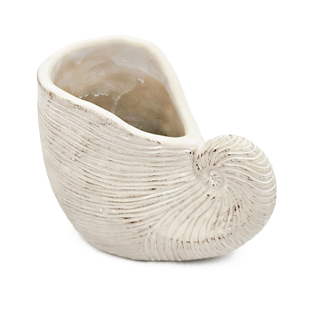 Nautilus Shell Planter with Textured Finish