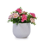 Bex Handmade Ceramic Planter, Set of 3