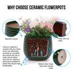 Bex Handmade Ceramic Planter, Set of 3