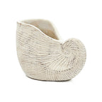 Nautilus Shell Planter with Textured Finish