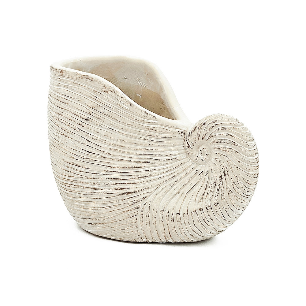 Nautilus Shell Planter with Textured Finish