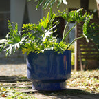 Arlo Handmade Ceramic Planter, Set of 3
