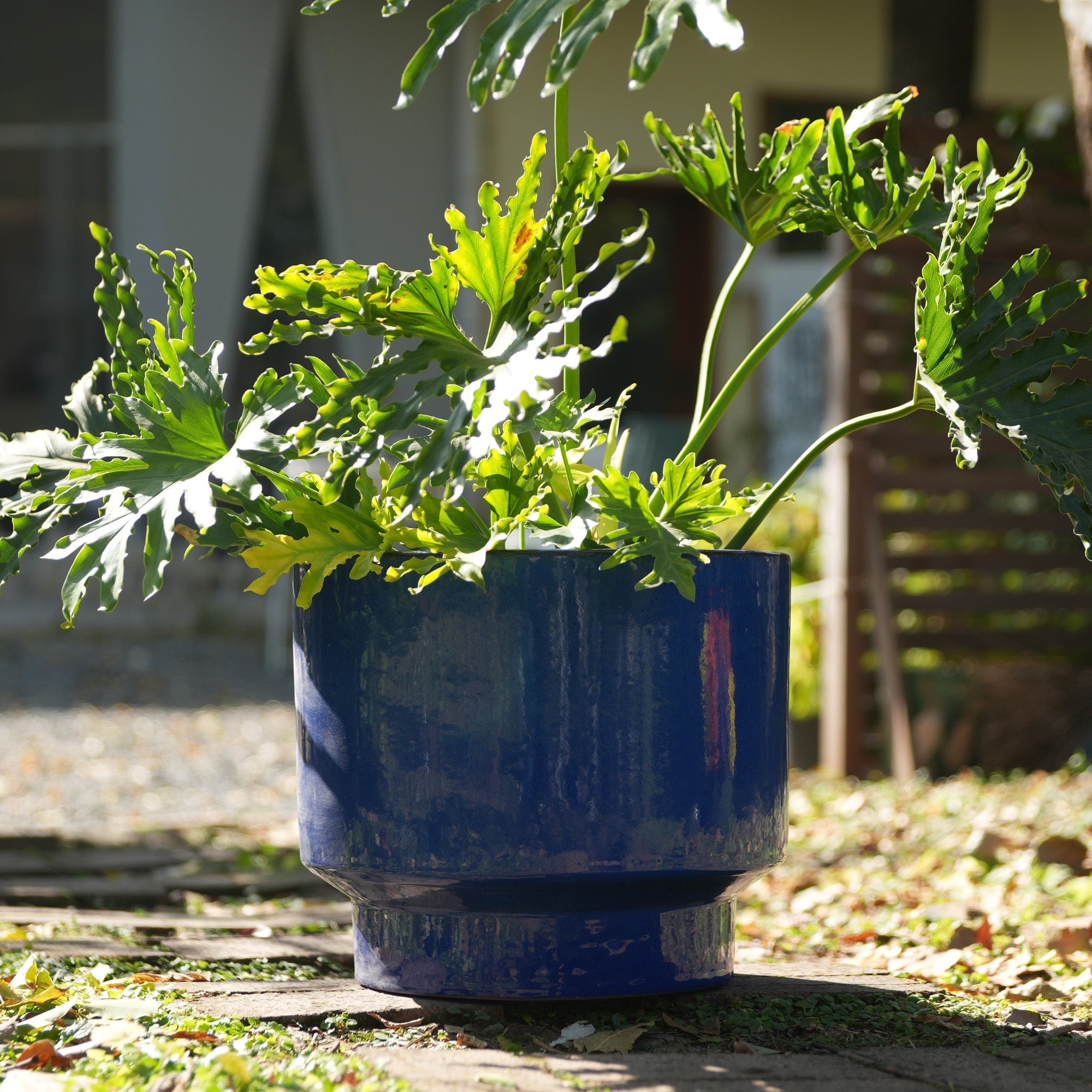 Arlo Handmade Ceramic Planter, Set of 3