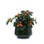 Solano Handmade Glazed Ceramic Planter, Set of 3