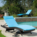 Salem Outdoor Chaise Lounge Cushion, Set of 2