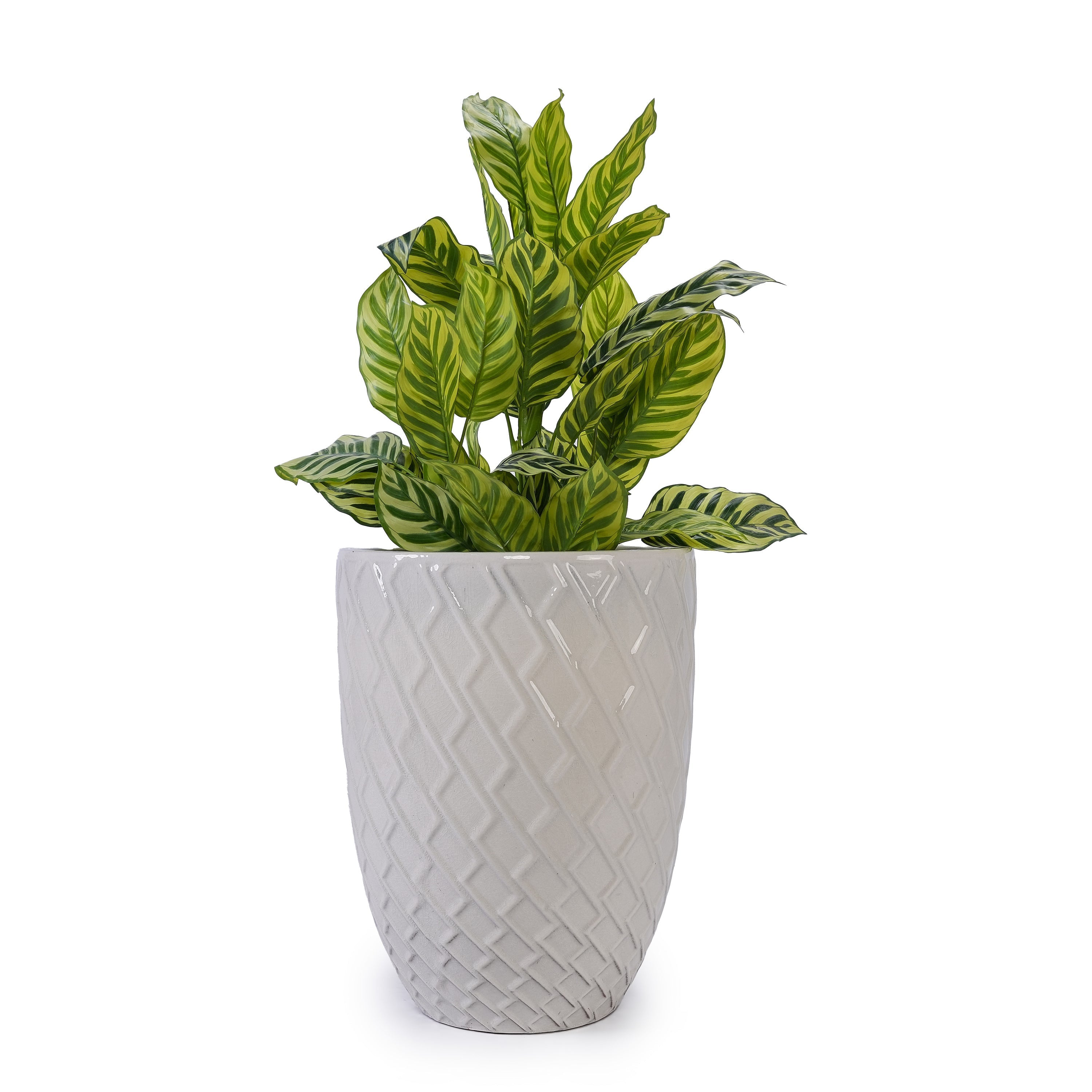 Elan Handmade White Ceramic Planter