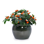 Talvik Handmade Ceramic Planter, Set of 3