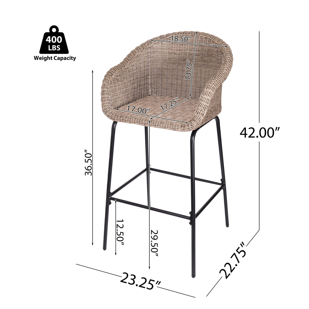 Ladd Outdoor Metal Wicker Barstool, Set of 2