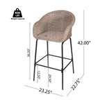 Ladd Outdoor Metal Wicker Barstool, Set of 2