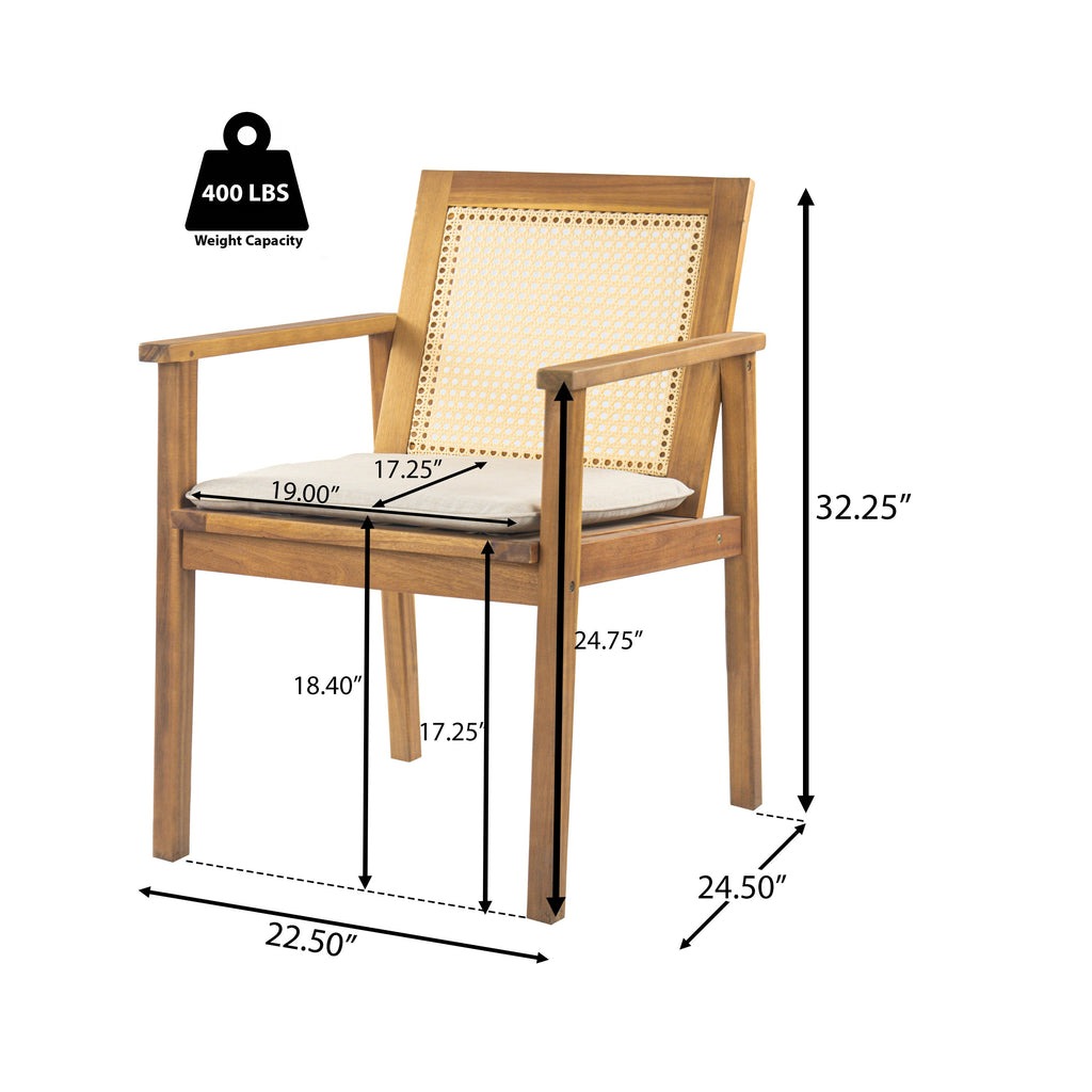 Preston Outdoor Dining Chair with Cushion, Set of 2