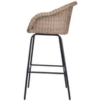 Ladd Outdoor Metal Wicker Barstool, Set of 2