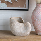 Nautilus Shell Planter with Textured Finish