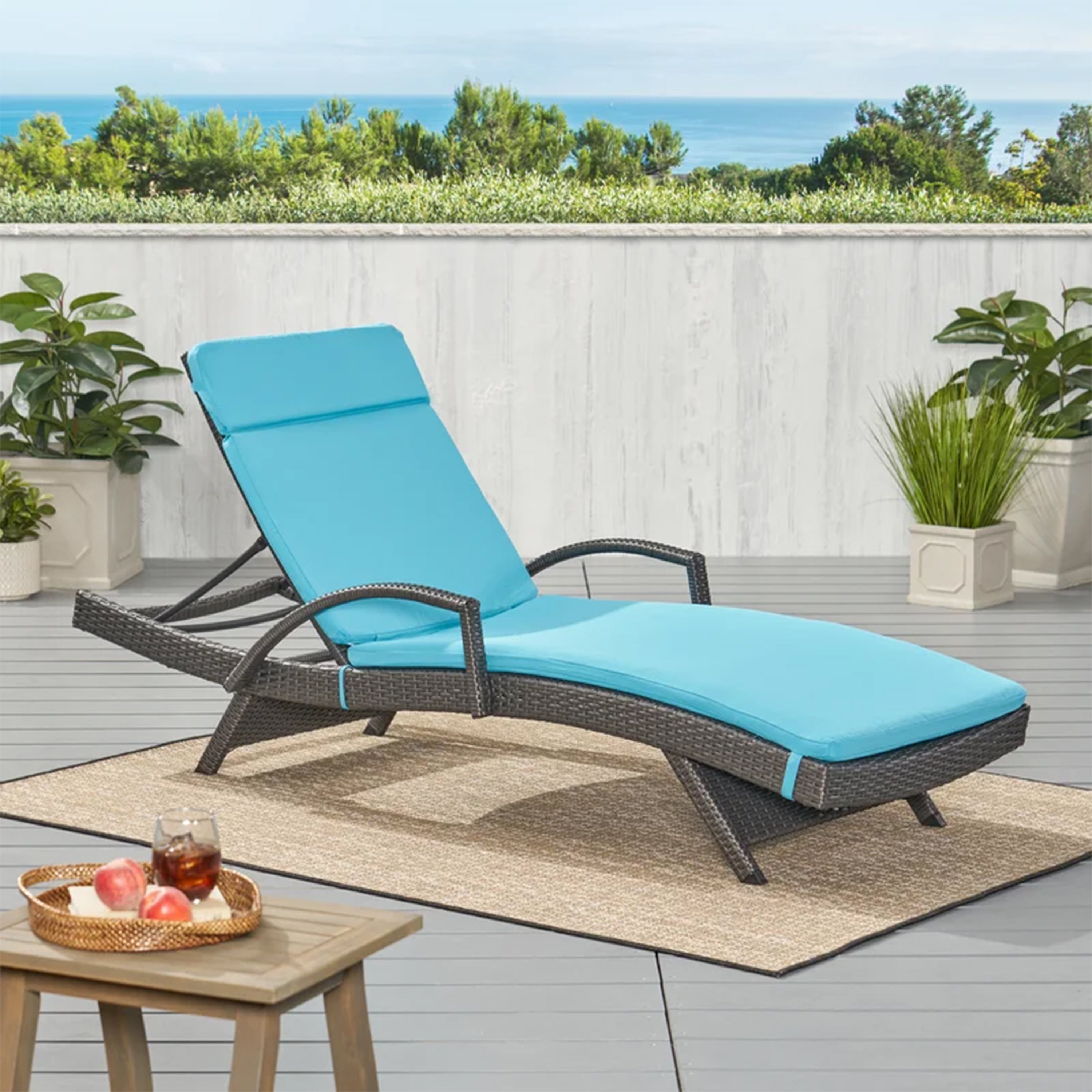 Salem Outdoor Chaise Lounge Cushion, Set of 2