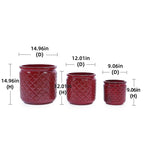 Rian Handmade Ceramic Flower Pot, Set of 3