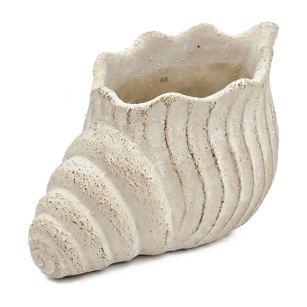 Conch Shell Planter with Textured Finish