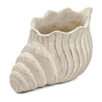 Conch Shell Planter with Textured Finish