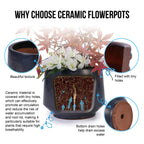 Solano Handmade Glazed Ceramic Planter, Set of 3