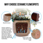 Calan Handmade Glazed Ceramic Planter, Set of 3