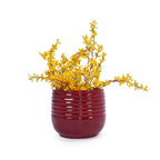 Calan Handmade Glazed Ceramic Planter, Set of 3