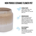 Rumi Beige Handmade Ceramic Planter, Set of 2