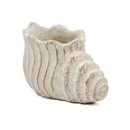 Conch Shell Planter with Textured Finish