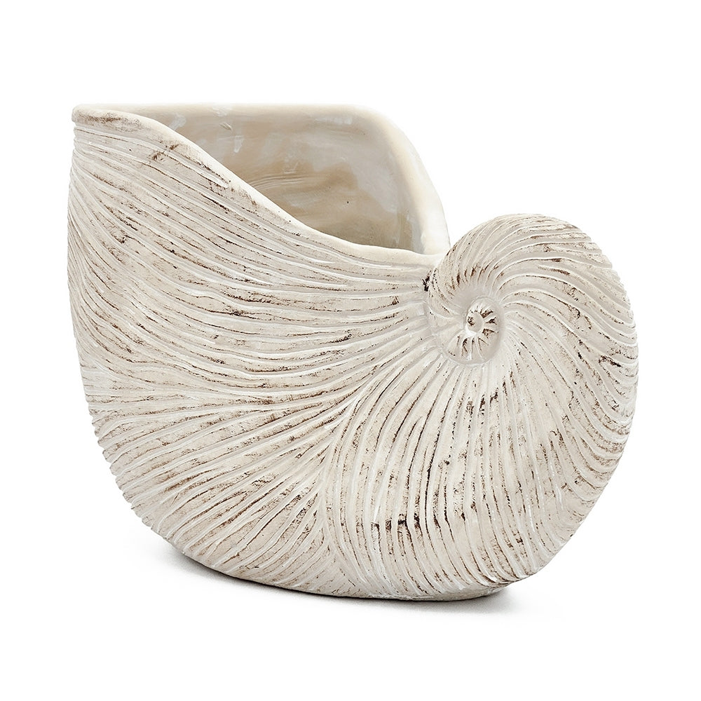 Nautilus Shell Planter with Textured Finish